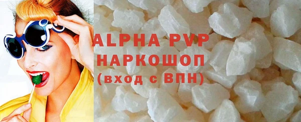 прущие грибы Волосово