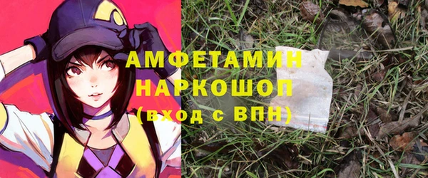 прущие грибы Волосово