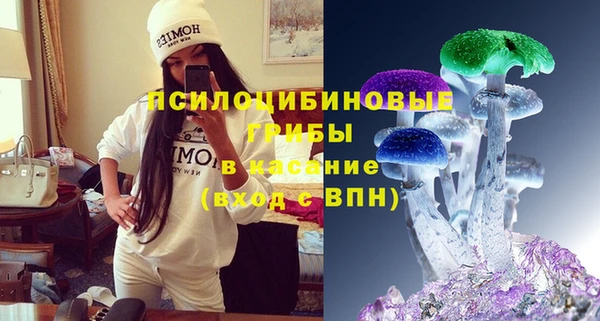 прущие грибы Волосово